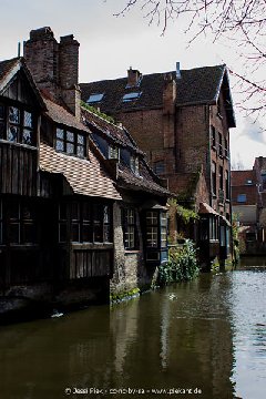 2017 03 21 Bruegge 15