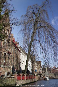 2017 03 21 Bruegge 17