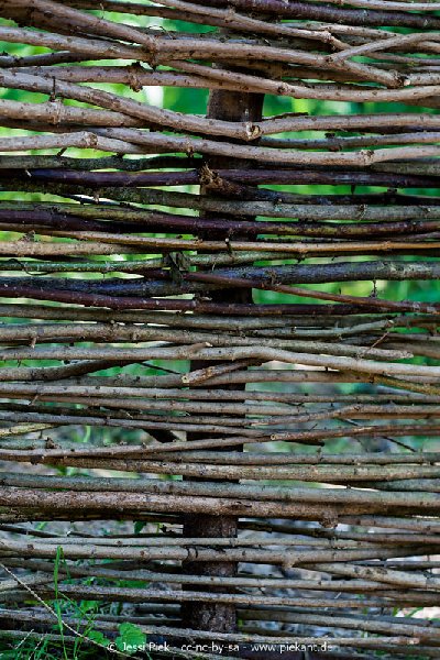 2017 05 27 Garten 11