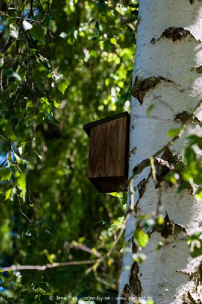 2017 05 27 Garten 12