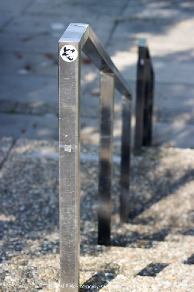 2017 09 03 Alma Mater 02