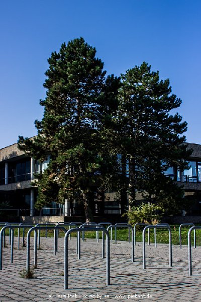 2017 09 03 Alma Mater 03