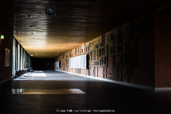 2017 09 03 Alma Mater 08