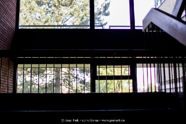 2017 09 03 Alma Mater 11