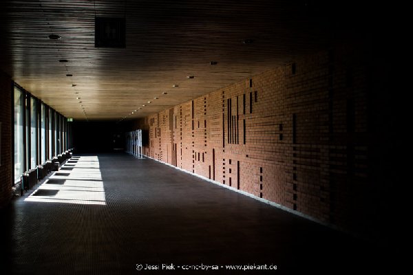 2017 09 03 Alma Mater 12