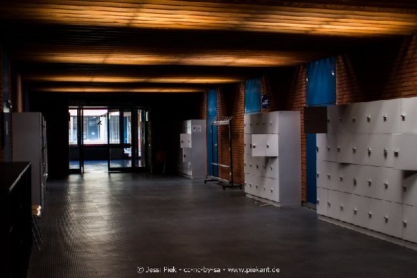 2017 09 03 Alma Mater 13