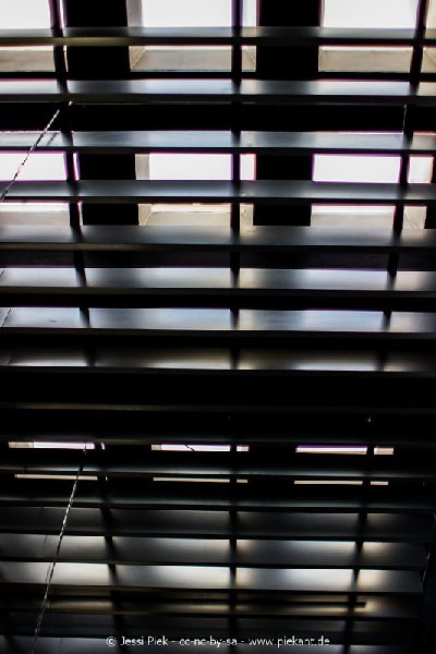 2017 09 03 Alma Mater 15