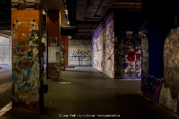 2017 09 03 Alma Mater 33