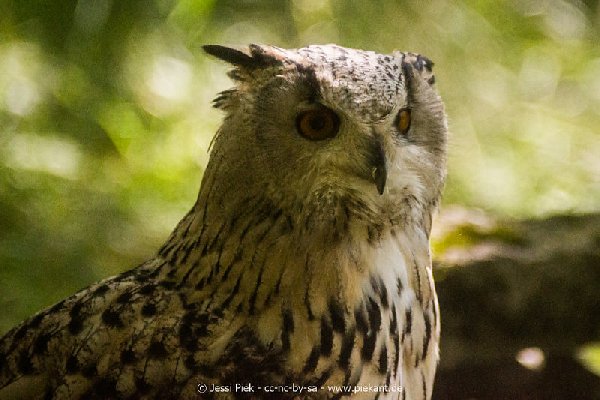 2017 09 22 Wildpark 02