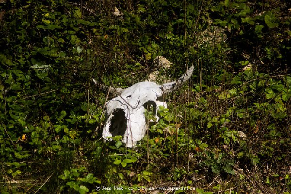 2017 09 22 Wildpark 12