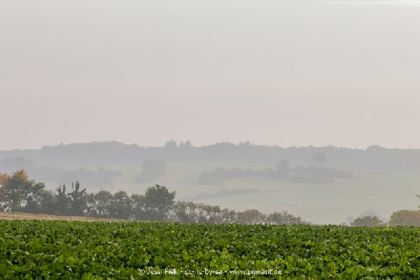 2017 09 30 Ob der Tauber 18