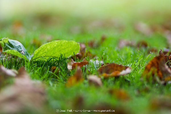 2017 09 30 Ob der Tauber 19