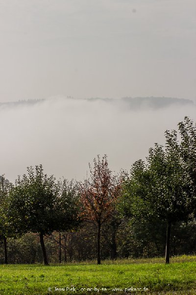 2017 09 30 Ob der Tauber 26