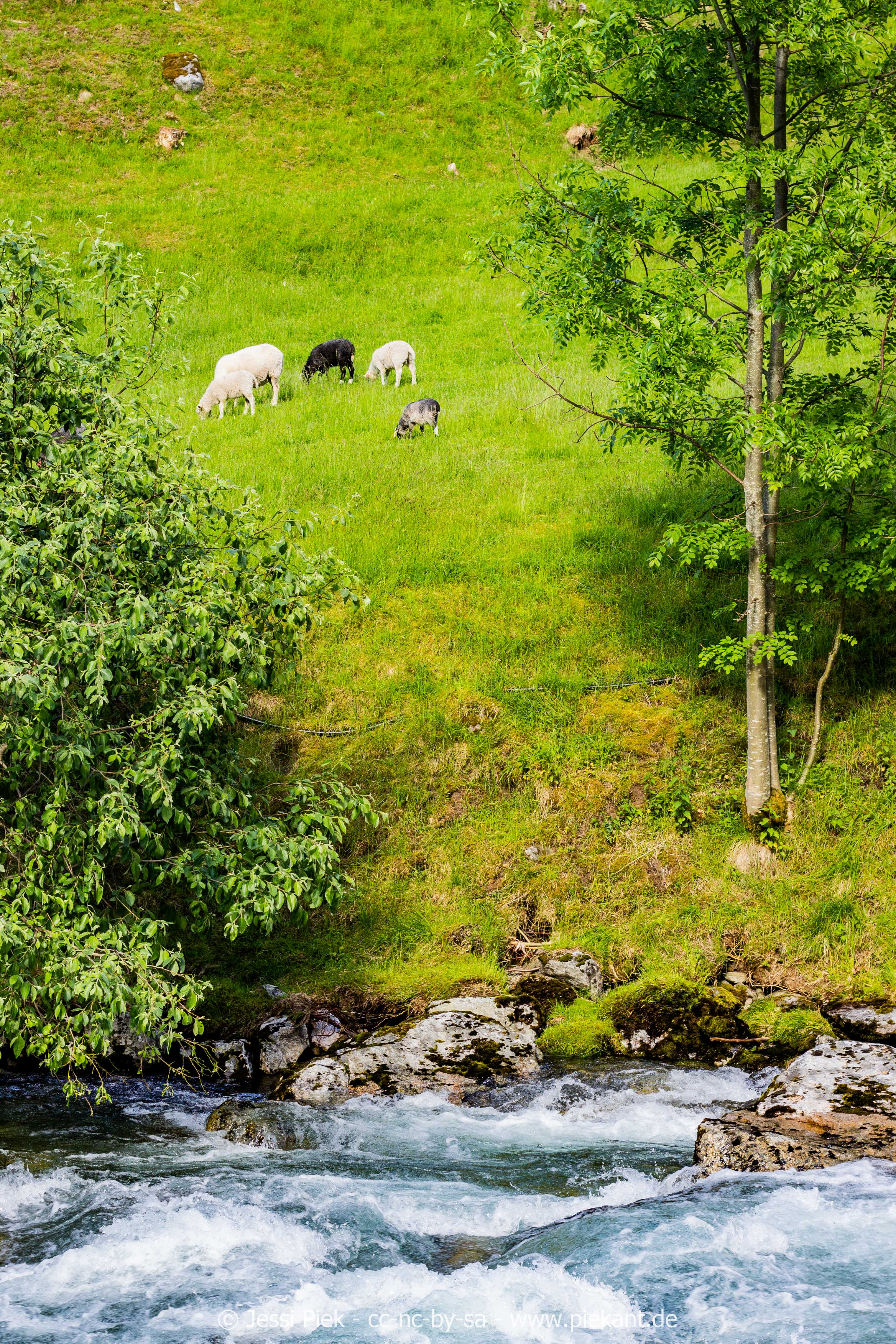 GeirangerHellesylt