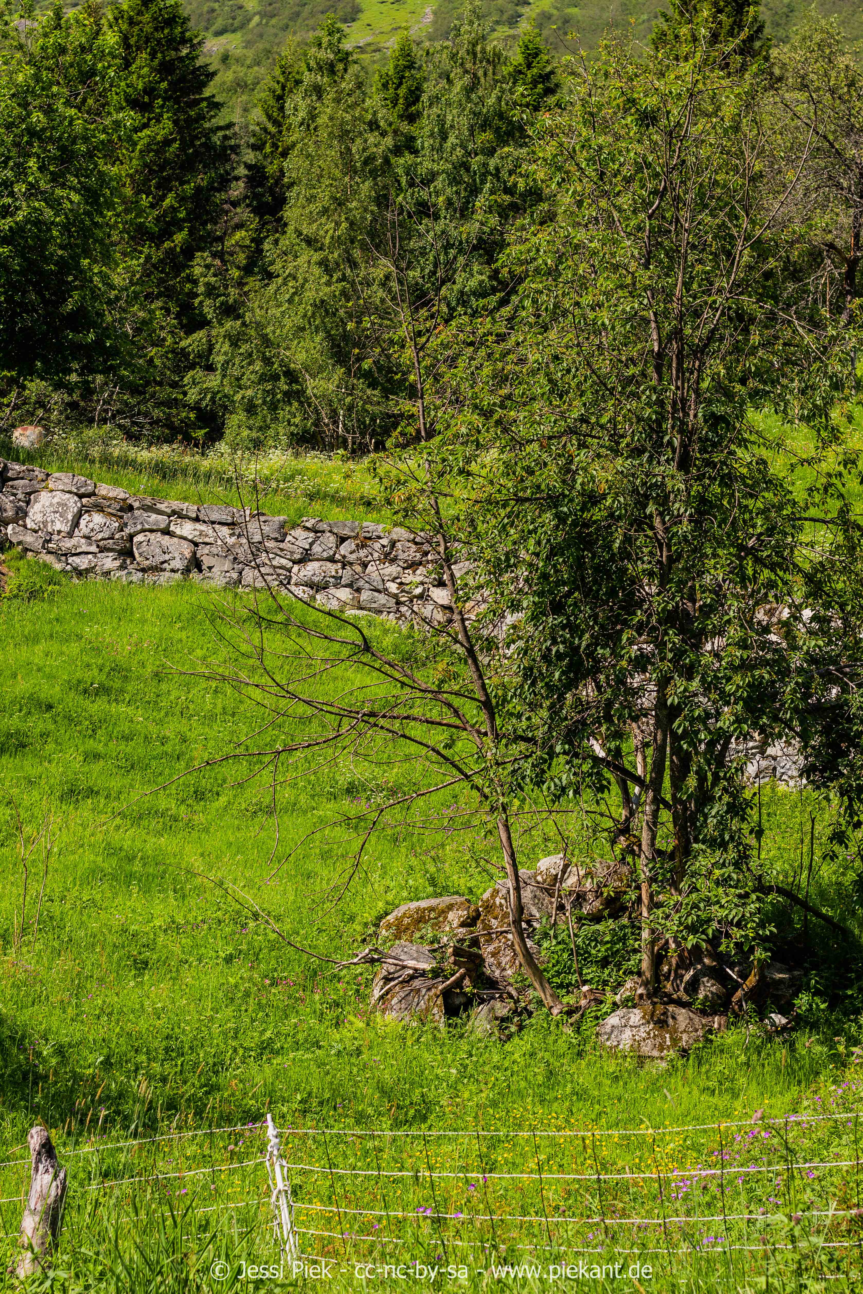 GeirangerHellesylt
