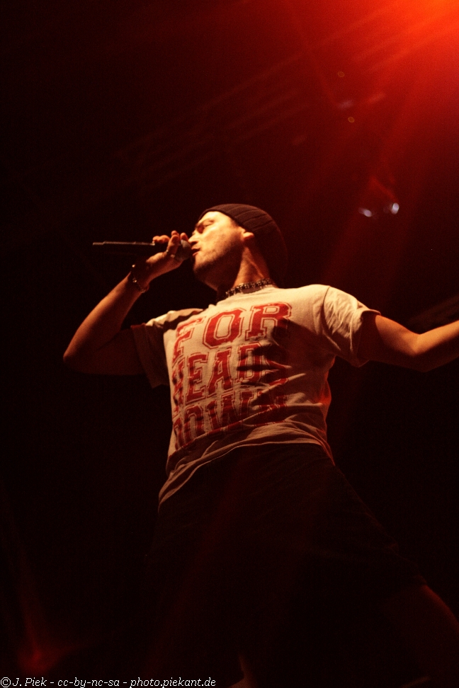 20120825 DED Dessel low 30