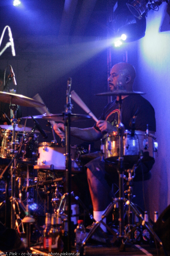 20121119 Fishbone low 44