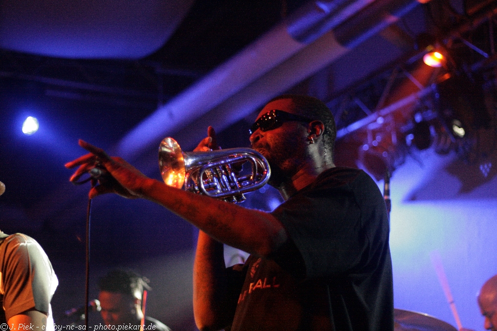 20121119 Fishbone low 47