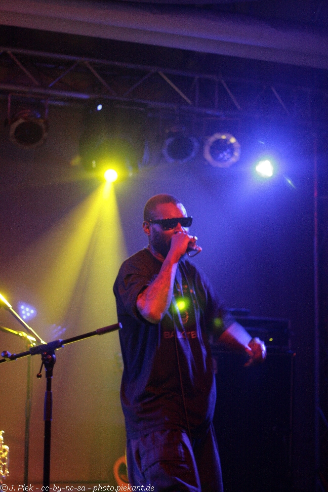 20121119 Fishbone low 60