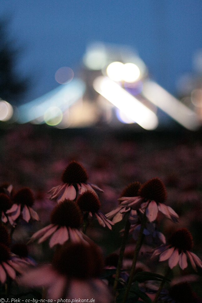 20120826 London Day1 54